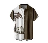 Générique Hommes Funky Hawaïenne Chemises à Manches Courtes Button Down Vacances Ete Aloha Imprimé Plage Casual Vintage Hawaii Chemise