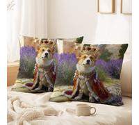 Générique Housse Coussin Raffiné, Complexe, Dessin animé, Aventure Cadeaux intérieur Galions, Crânes, Lune Doux Décoratif Taie d'oreiller pour Canapé, Salon, Chambre, 40 x 40 CM
