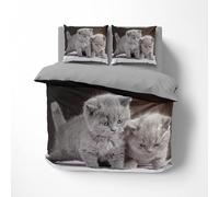 Générique Housse de Couette 140x200cm Chat Enfant Parure de Lit 1 Personne Chat Animal Gris Mignon Microfibre Set Housse de Couette avec Fermeture Éclai avec 2 Taies d'oreiller 65x65cm