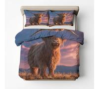 Générique Housse de Couette 160x200 Vache Highland - Parure de Lit Vache Highland 2 Personne Decoration Chambre, 2 Taie d'oreiller 65x65, Zippée, Reversible, Microfibre SD-1081