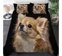 Générique Housse de Couette 180x200 Loulou de Poméranie Parure de Lit 180x200 Enfant 1 Personnes avec Fermeture Éclair Sets de en Microfibre avec 1 Taie d'oreiller 65x65 cm 5L9W261437