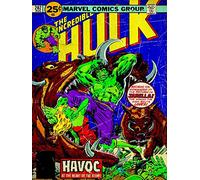 Générique Hulk 60 x 80 cm-Impression sur Toile Havoc cm