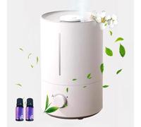 Générique Humidificateur à Ultrasons à Brume Fraîche, Réservoir Deau De Grande Capacité De 4 L, Taux Datomisation De 300 ML/h, Buse Rotative à 360 Degrés, Humidificateur De Chambre Silencieux
