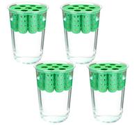 Générique Hydroponic Green Onion Kit, Clear Reusable Planter, Scallion Sprouting Grower with Easy Planting Design, Onion Seedling Kit for Indoor Kitchen Corner, Grower with Compact Build, Home Use