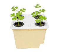 Générique Hydroponic Planter - Soilless Cultivation Gardening Supplies - Hydroponic Grow,for Indoor Outdoor Balcony Garden Greenhouse for Indoor Outdoor Balcony Garden Greenhouse
