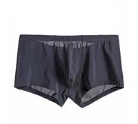 Générique Ice Silk Transparent sous-vêtements Basse Taille Mince Boxer Shorts Ultra-Thin Respirant Homme Bikini Sexy