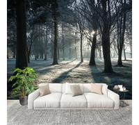 Générique Imperméable,Inodore intérieure Papier Peint 350x256 cm Rayons De ForêT Tranquilles Amovible Fresque Murale décorer Papier Peint Photo Gris-Vert Pour Meuble Salon Salle Bain Chambre Armoire