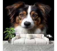 Générique Imperméable,Inodore intérieure Papier Peint 400x280 cm Animaux Chien De Berger Gros Plan Amovible Fresque Murale décorer Papier Peint Photo noir Pour Meuble Salon Salle Bain Chambre Armoire
