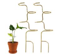 Générique Indoor Plant Props - Pair Metal Standing Rods, Climbing Vine Stabiliser, Decorative Growth Helper, Rustproof Green Coated Frame | Yard Lawn Support for Orchid