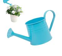 Générique Indoor Plant Watering Can 1L | Long-Spout Metal Watering Can for Flowers and Plants, Ideal for Home, Hotel, Office, Garden, Flower Arrangements, Indoor Plant Care & Easy Pouring