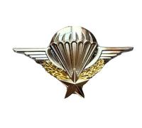 Générique Insigne Brevet Parachutiste avec Attache Barrette Tige et Emplacement pour numéro Para Tap