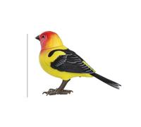 Générique Interactive Bird Toy - Realistic Talking Parrot Electronic Sound Control Toy | Cute Moving Artificial Singing | for Kids Desktop Electric Pet Home Decoration, 1 Pack