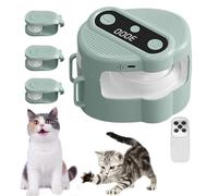 Générique Interactive Cat Toy Treadmill, Quiet Automatic Exercise Game with Remote, Adjustable Speed Cat Enrichment for Physical Stimulation, Suitable Home Living Room Kitchen Play Corner
