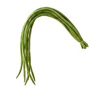 Générique Interactive Cat Toy with Moving - Cat Exercise Toys | Realistic Funny Indoor Pet Supplies | Green Beans Cats Interactive Toys for Small Medium Kitten Enrichment Mental Stimulation Moving