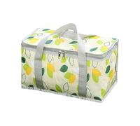 Générique Isotherme pour Livraison de Nourriture, de Pique-Nique isolé Portable avec Fermetures éclair, Panier de Pique-Nique supérieur, refroidisseurs durables