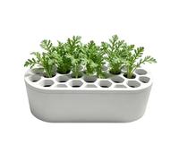 Générique Jardinière À Oignons Verts,Imprimé en 3D Réutilisable Et Respirant,Pot À D'Intérieur | pour Plantation Propagation Jardinage Maison Intérieur Extérieur Rebord De