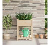 Générique Jardinière avec étagère 60x60x76 cm en Bois Massif de pin,Maison & Jardin,Pelouses & Jardins,Jardinage,Pots & Cache-Pots,Beige,7.7 KG,42006577