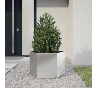 Générique Jardinière hexagone 69x60x45 cm Acier Inoxydable,Maison & Jardin,Pelouses & Jardins,Jardinage,Pots & Cache-Pots,Argent,6.14 KG,851126