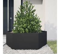 Générique Jardinière Noir hexagone 138x120x45 cm Acier,Maison & Jardin, Pelouses & Jardins, Jardinage, Pots & Cache-Pots, Noir (Poids 11.62KG)