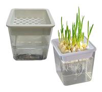 Générique Jardinière, récipient pour en Couches, Station de Propagation avec système d'eau, Support de Transparent pour boutures et Racines, jardinière Moderne de Style Minimal, déc