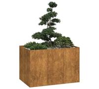 Générique Jardinière rouillé 120x80x80 cm Acier Inoxydable,Pots & Cache-Pots,21.85KG-860793