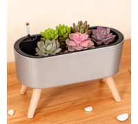 Générique JardinièRe SuréLevéE avec Indicateur De Niveau D’Eau, Pot De Fleurs D’IntéRieur Et ExtéRieur pour Herbes, LéGumes Et Fleurs