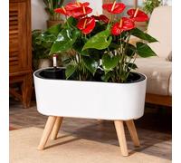 Générique JardinièRe SuréLevéE avec Indicateur De Niveau D’Eau, Pot De Fleurs D’IntéRieur Et ExtéRieur pour Herbes, LéGumes Et Fleurs