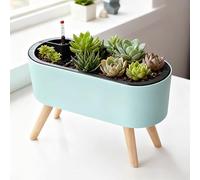 Générique JardinièRe SuréLevéE avec Indicateur De Niveau D’Eau, Pot De Fleurs D’IntéRieur Et ExtéRieur pour Herbes, LéGumes Et Fleurs