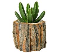 Générique Jardinières D'intérieur - Pots De Fleurs Rustiques avec Trou De Drainage | Pot De Cactus Décoratif pour Salon, Balcon Et Jardin - Conteneurs De Étanches pour Grasses Et Herbes, Cadeau