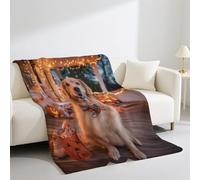 Générique Jeté de Canapé 2 Personnes Crème Couverture en Flanelle,Tamia Halloween Thème Microfibre en Peluche Blanket Convient Aux Enfants 150 * 200 cm