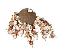 Générique Jouet à mâcher en épi de maïs pour Oiseaux - Jouet en Coquille de Noix de Coco, Jouet à Suspendre pour nichoir, Accessoires Parfaits pour Cage à Oiseaux pour calopsittes et tourtereaux