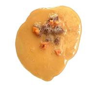 Générique Jouet à vomir, Jouet à vomir - Bâillons de Jouets - Faux Vomit pour Accessoires de cinéma, fêtes de farces, démonstrations éducatives, événements d'halloween et de Maquillage