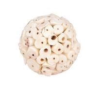 Générique Jouet Bois Grignote, Accessoire Cage Perroquet, Jouets Oiseaux pour Conures, Mâcher Déchiqueter des Accessoires De Cage À Oiseaux pour Perroquet Inséparable Perruches Conure Calopsitte