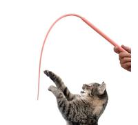 Générique Jouet Canne à Chat, Canne Interactive Rigolote Longue en Silicone pour Chat, Queue Souple Incitant au Jeu, aux Sauts, à la Détente et à l'Exploration à la Maison