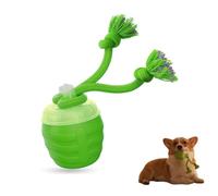 Générique Jouet Interactif pour Chien, 2026 Nouveau Balle Interactive pour Chiens avec Bluetooth Musique, Jouet Chien Indestructible avec 3 Modes, Convient aux Petits et Moyens Chiens