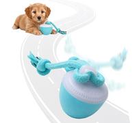 Générique Jouet Interactif pour Chien, 2026 Nouveau Balle Interactive pour Chiens, Jouet Chien Indestructible, Boule Automatique avec 3 Modes Balle Chen Qui Bouge Toute Seule (Bleu)