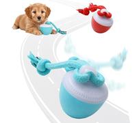 Générique Jouet Interactif pour Chien, 2026 Nouveau Balle Interactive pour Chiens, Jouet Chien Indestructible, Boule Automatique avec 3 Modes Balle Chen Qui Bouge Toute Seule (2PC)