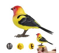 Générique Jouet Oiseaux Artificiels | Oiseau Interactif Qui Chante avec Musique - Animaux Électroniques Mignons pour Fils, Fille, Mari, Grand-père, Famille, Filles, Garçons, Femmes, Adolescents