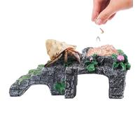 Générique Jouets d'escalade pour Bernard,Échelle d'escalade avec Bol d'eau pour Reptiles - Décoration Multifonction pour Nourriture Sommeil Jeu Détente Enclos
