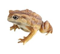 Générique Jouets Grenouilles - Mini Mignon Éducatif | Jouets crapauds Miniatures pour - pour Cadeaux de fête, Petits Cadeaux de Bas de Noël, enseignement, Diorama, Collection d'apprentissage