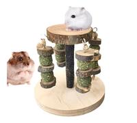 Générique Jouets Hamster | Accessoires en Bois Naturel pour Gerbilles,Bâtonnets à Ronger en Bois pour Hamster | pour Gerbille Chinchilla Et Petits Animaux Nains Broyage De Dents Intérieur