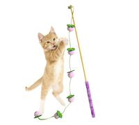 Générique Jouets pour Chats | Cordon avec Un Design De Fruit Et Une Manche Antidérapante | Jouets À Démêler en Bois pour Chats - pour Chaton Jeu D'Intérieur Oiseau Poisson Souris Contre L'Ennui
