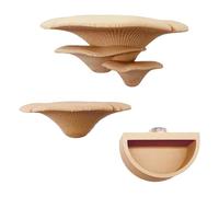 Générique Jumping Spider Decor - Mushroom Magnetic Holder | 3D Jumping Spider Hiding Place - Cute Mushroom Style Holder with Water Bowl for Spiders Care Indoor Display and Outdoor Travel Use