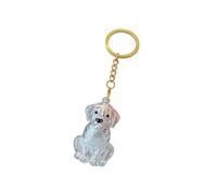 Générique Keepsakes Dogs Ashes Bottle Keyring Bag Charm Keys Car Rearview