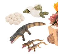 Générique Kit Cycle De Vie Animal | Modèle De Crocodile | Modèle Animal Décoratif,pour Garçons Filles Enseignants Maternelle Crèche École Salle De Classe Maison Anniversaire Instruction en Famille