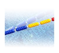 Générique Kit de Ligne Corde sécurité à extrémité Peu Profonde et Profonde Piscine, Ligne Voie à Billes Flottante, adaptée aux Sources Chaudes Parc Aquatique Plage(Nylon Rope,12 Meter)
