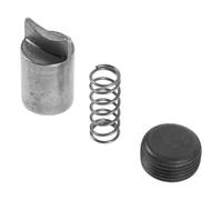 Générique Kit de Réparation, Broche du Tuyau, Ressort et Vis | Fer Argenté, Assemblage Sûr et Compatible, pour Entretien du Pulvérisateur Agricole et Pompe