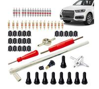 Générique Kit pour Démontage et Installation de Valve de Pneu | 65 Pièces | Outils pour La Réparation des Noyaux De Pneus,Accessoires Et Fournitures pour Camion Quad Véhicule Auto Berline SUV
