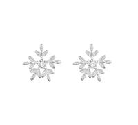 Générique Kits Bouteille Nettoyeur Bijoux Christmas Snowflake Zircon Earrings For Women Trousse Pince Petite Fabrication Bijoux (Silver, One Size)