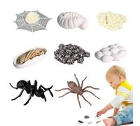 Générique Kits De Cycle De Croissance Animale - Modèle De Croissance D'araignée, Ensemble De Jouets Éducatifs | Jouet d'apprentissage, Améliore Les Compétences Cognitives, Ensemble De Figurines Éduca